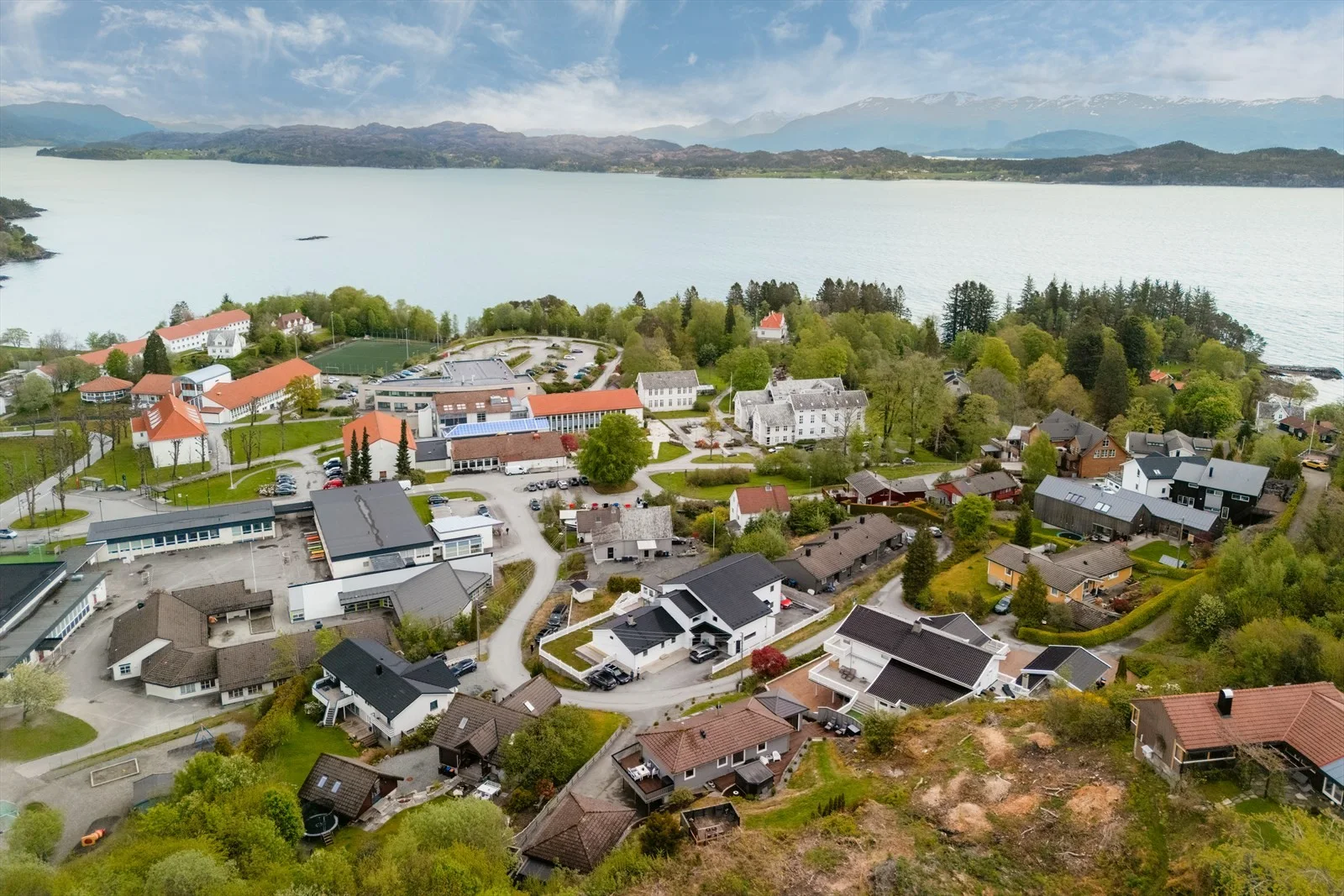Photo 59