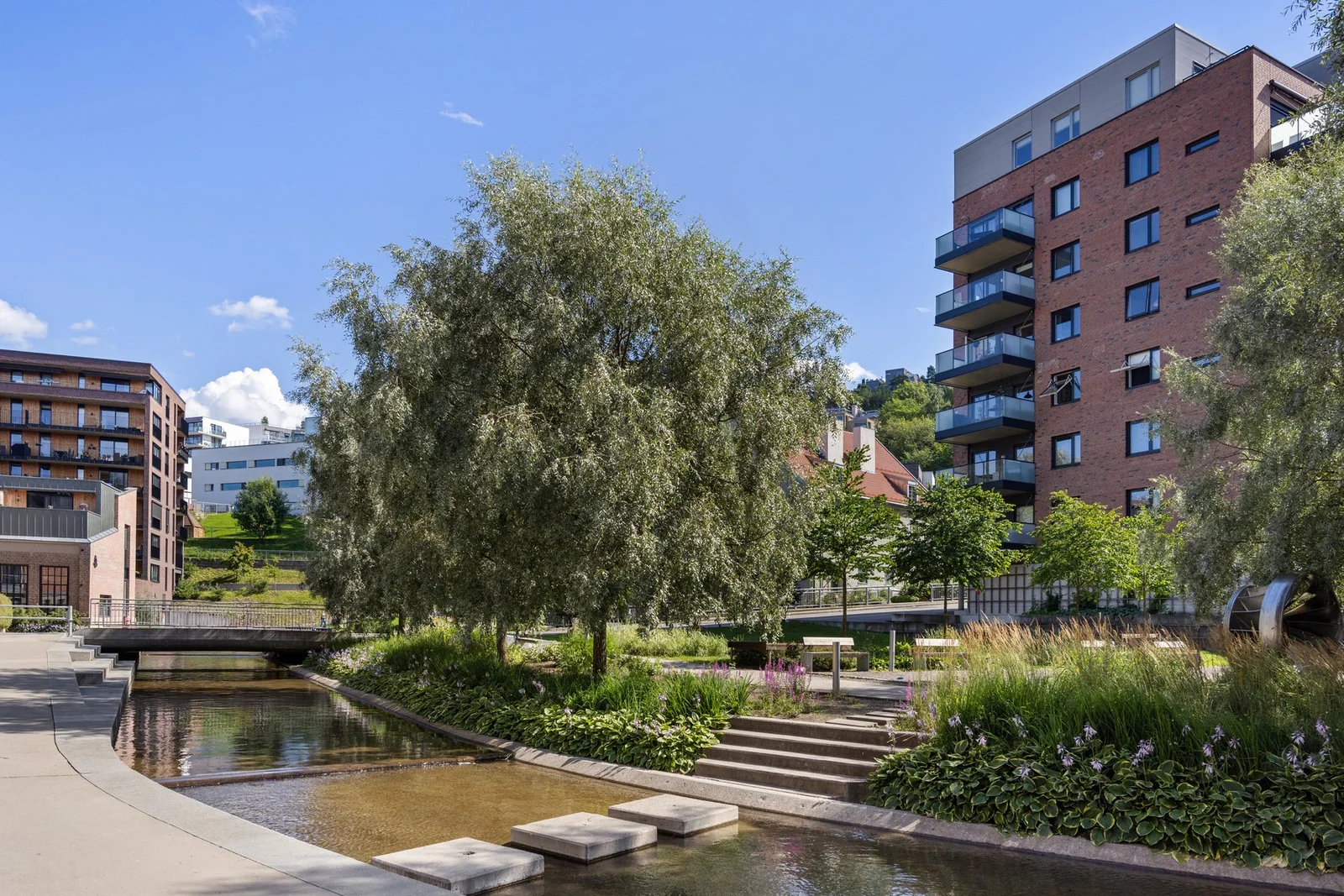 Photo 33