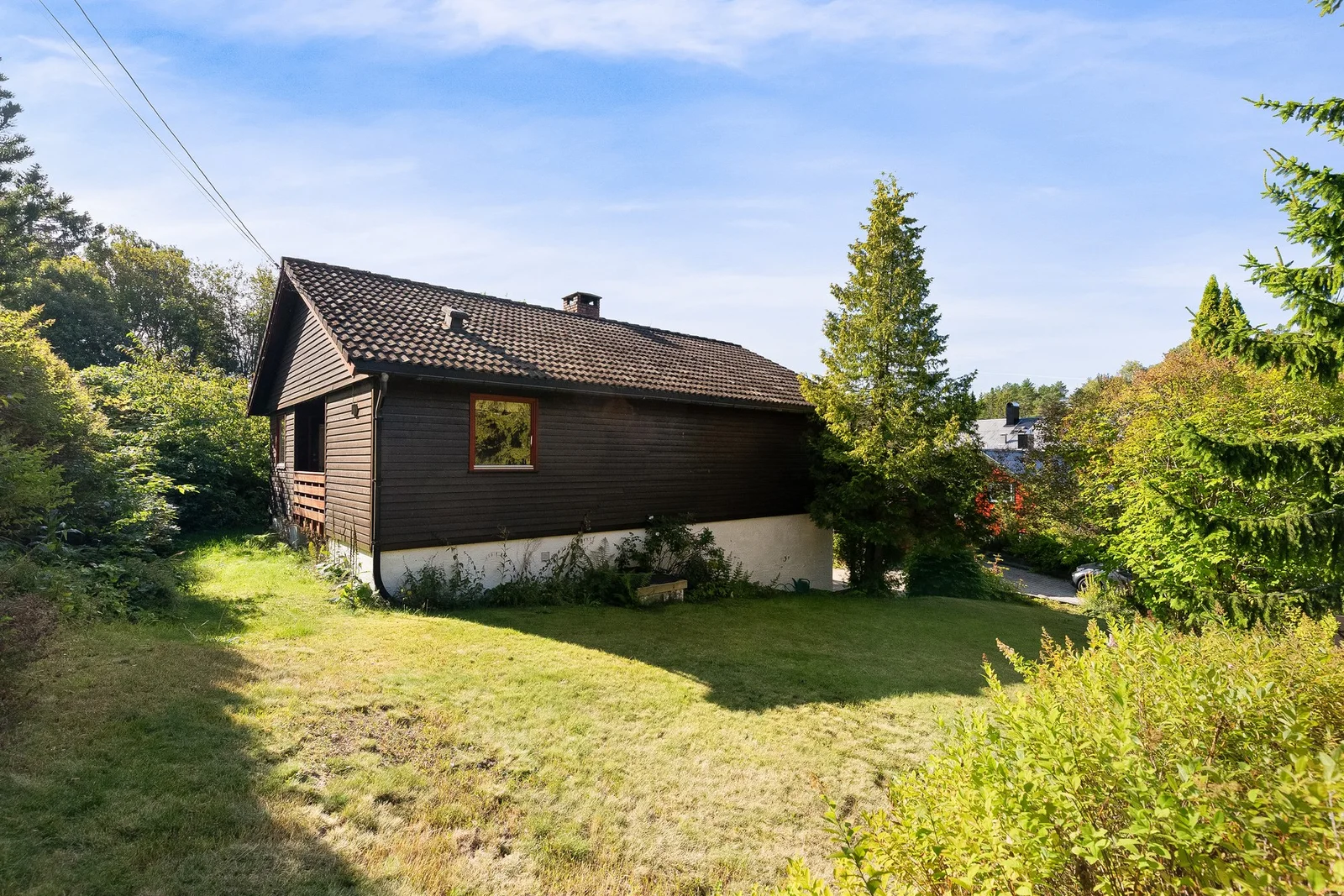 Photo 36