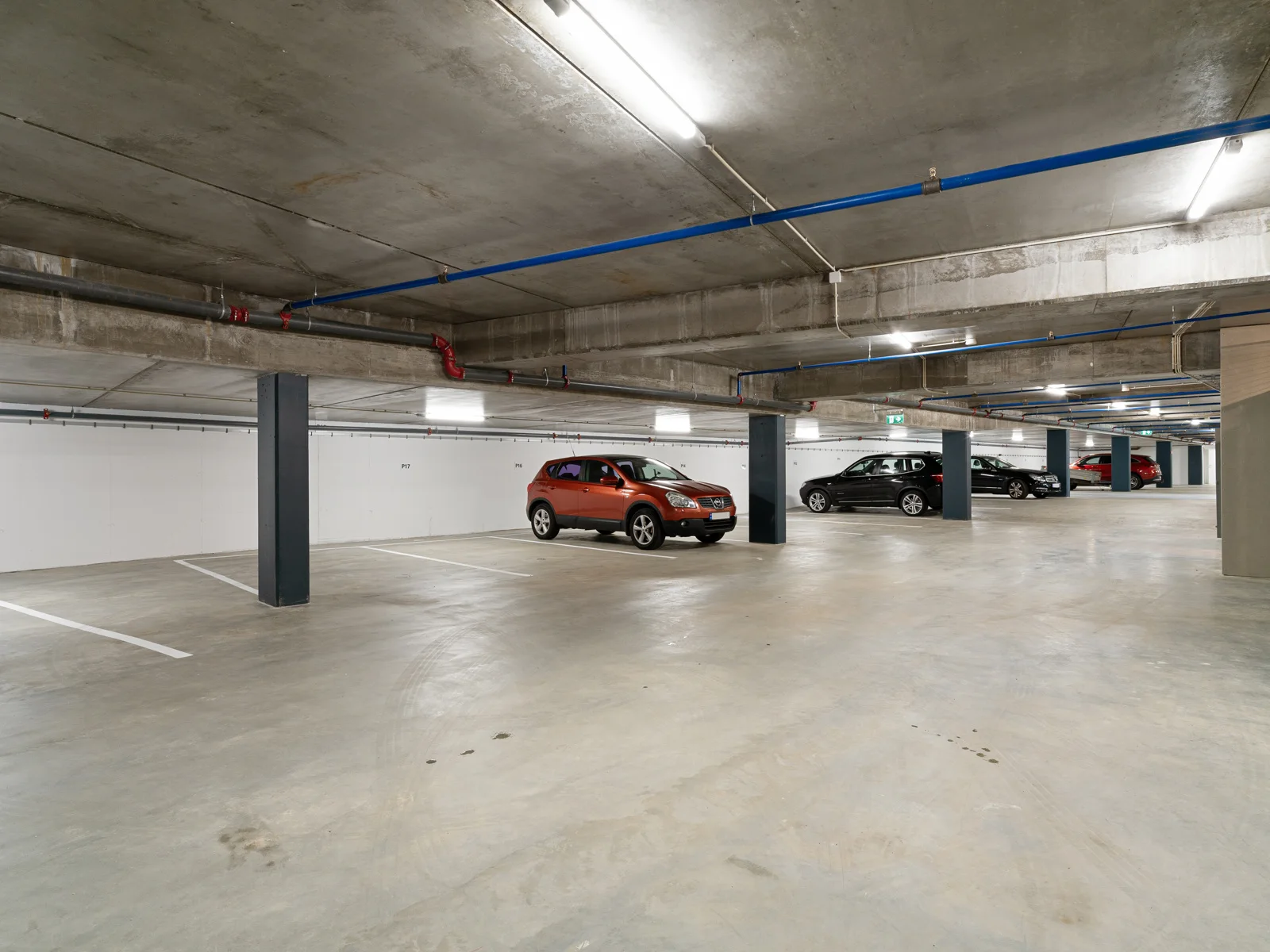 Photo 19