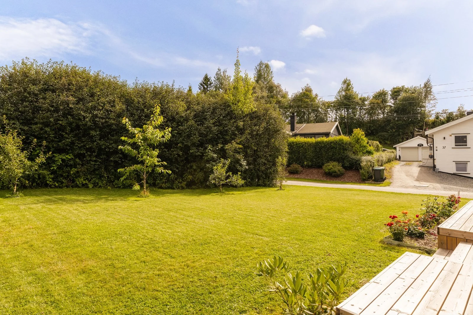 Photo 49