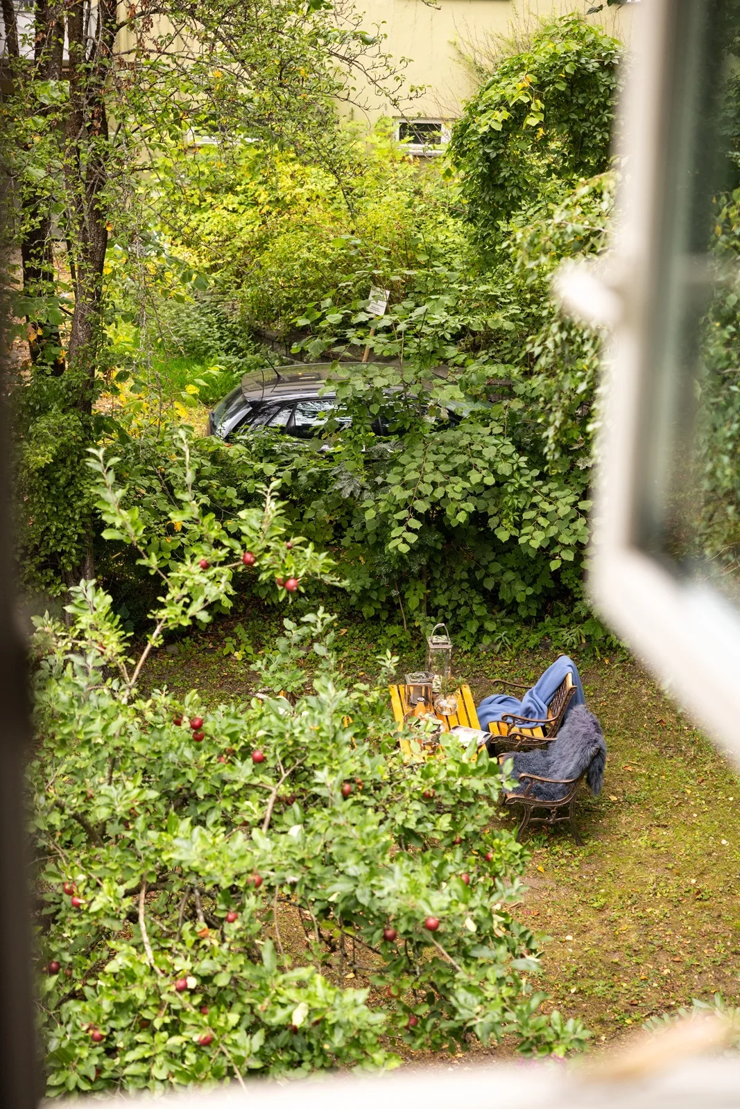 Photo 25