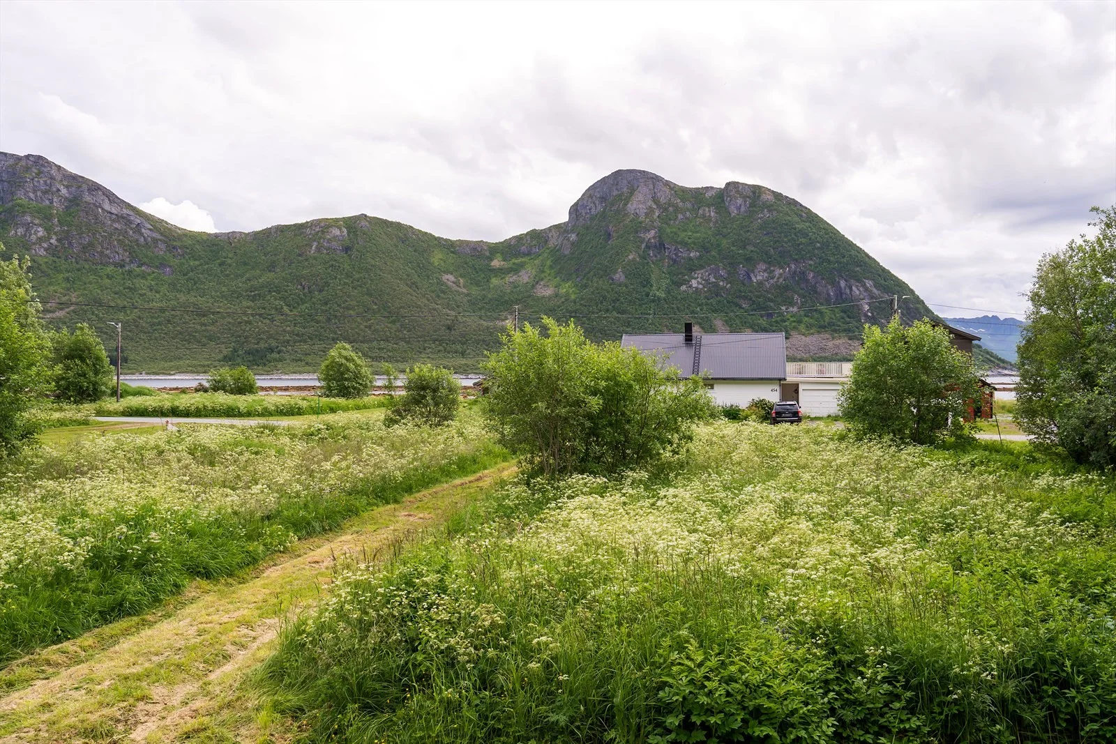 Photo 26