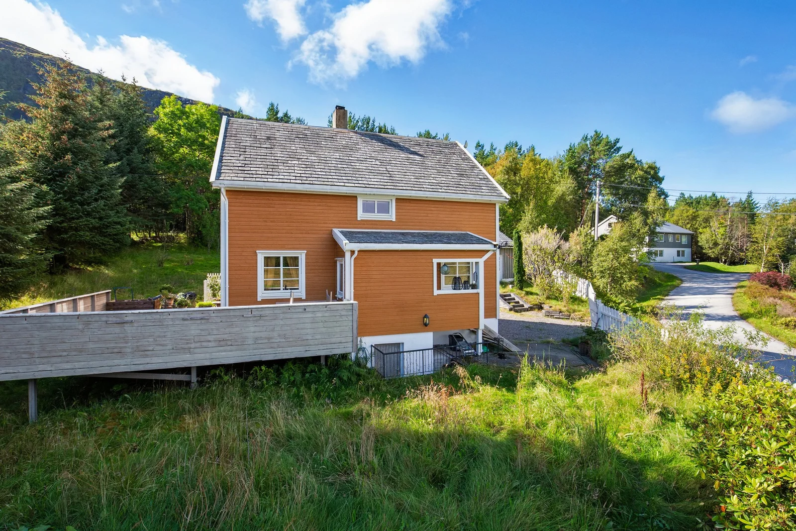 Photo 4