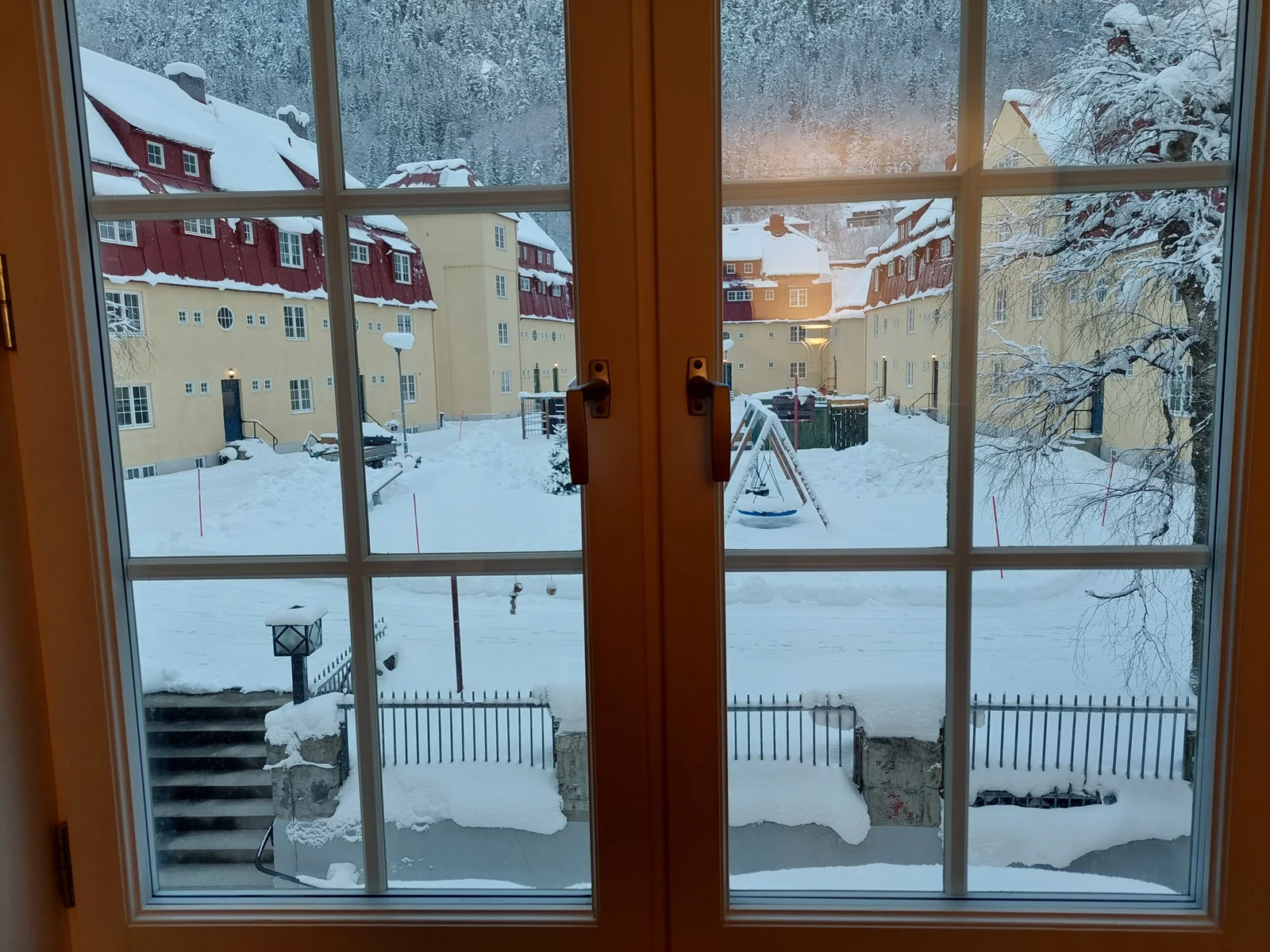 Photo 6