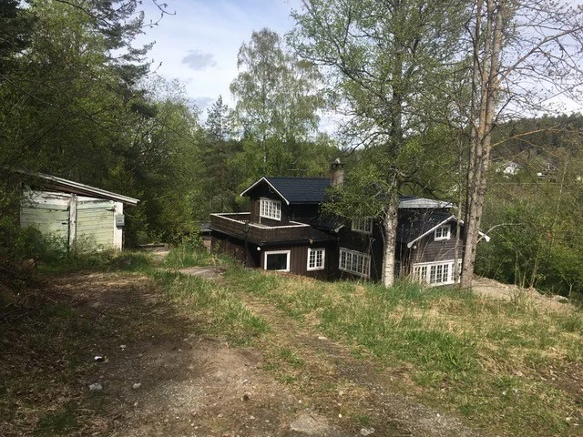 Photo 3