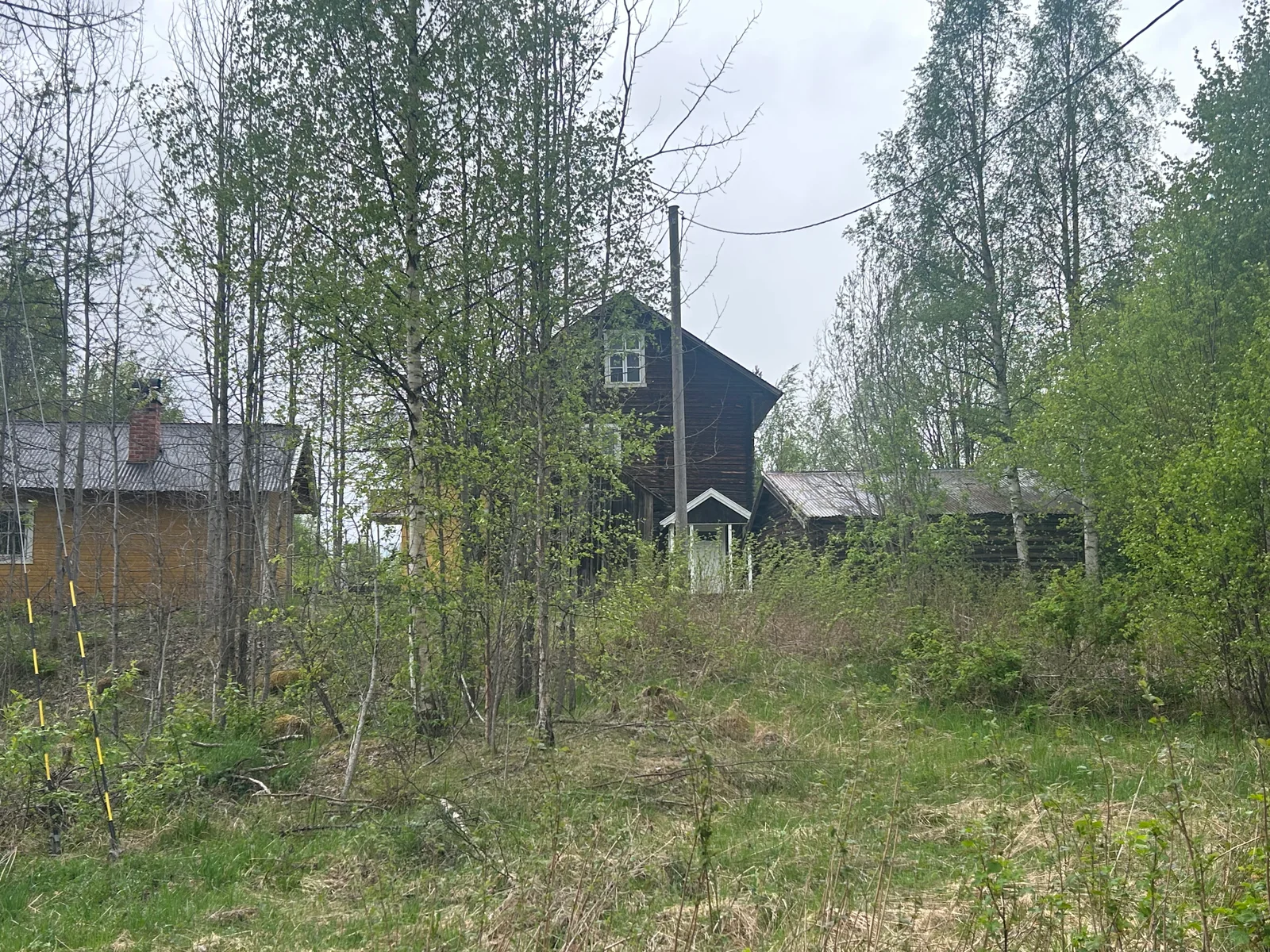 Photo 26