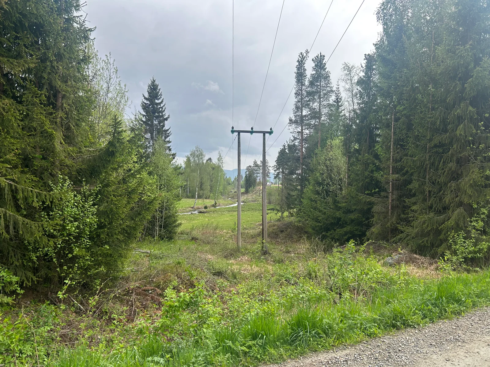 Photo 28