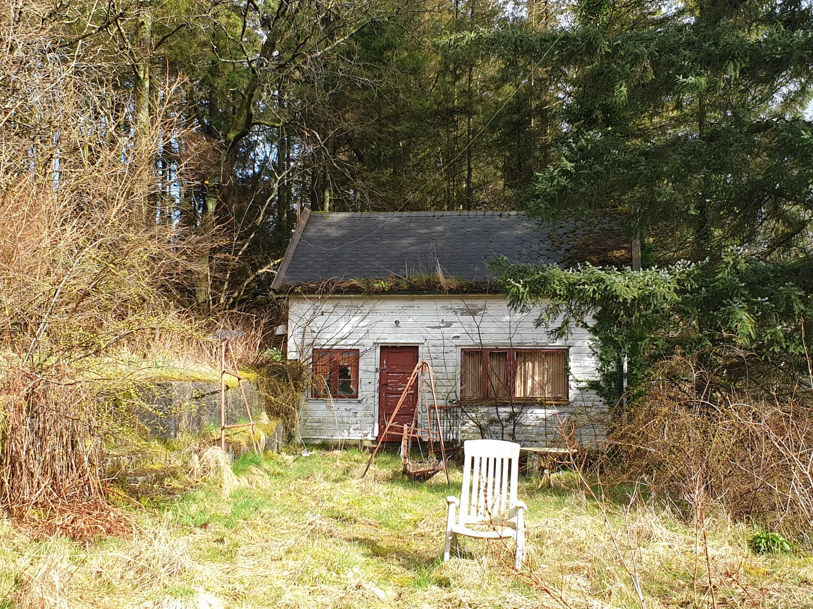 Photo 11