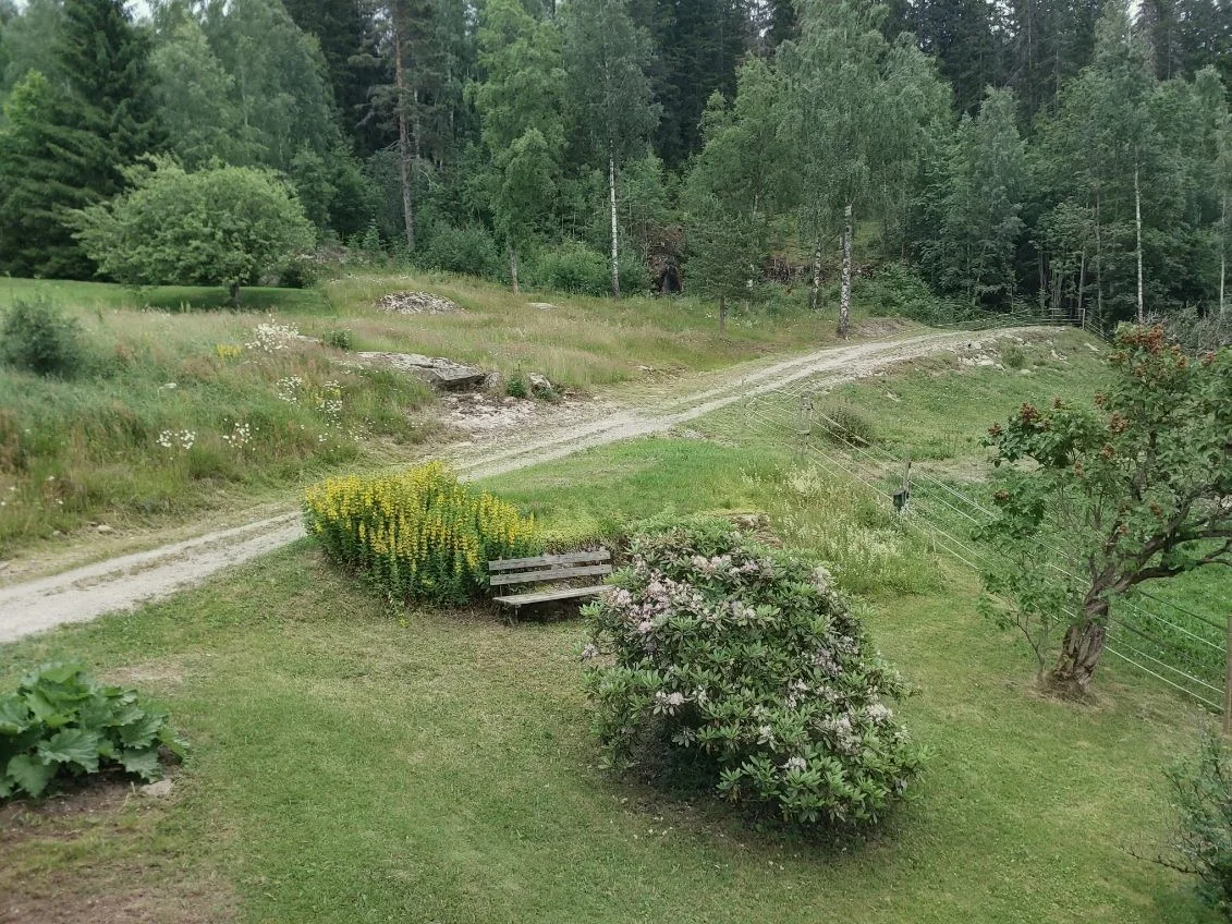 Photo 32