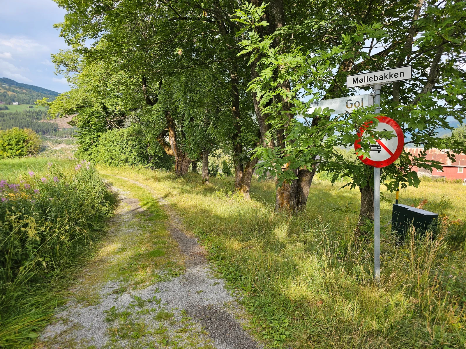 Photo 45