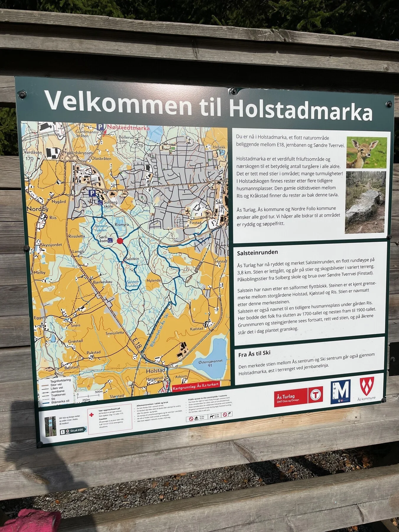 Photo 43