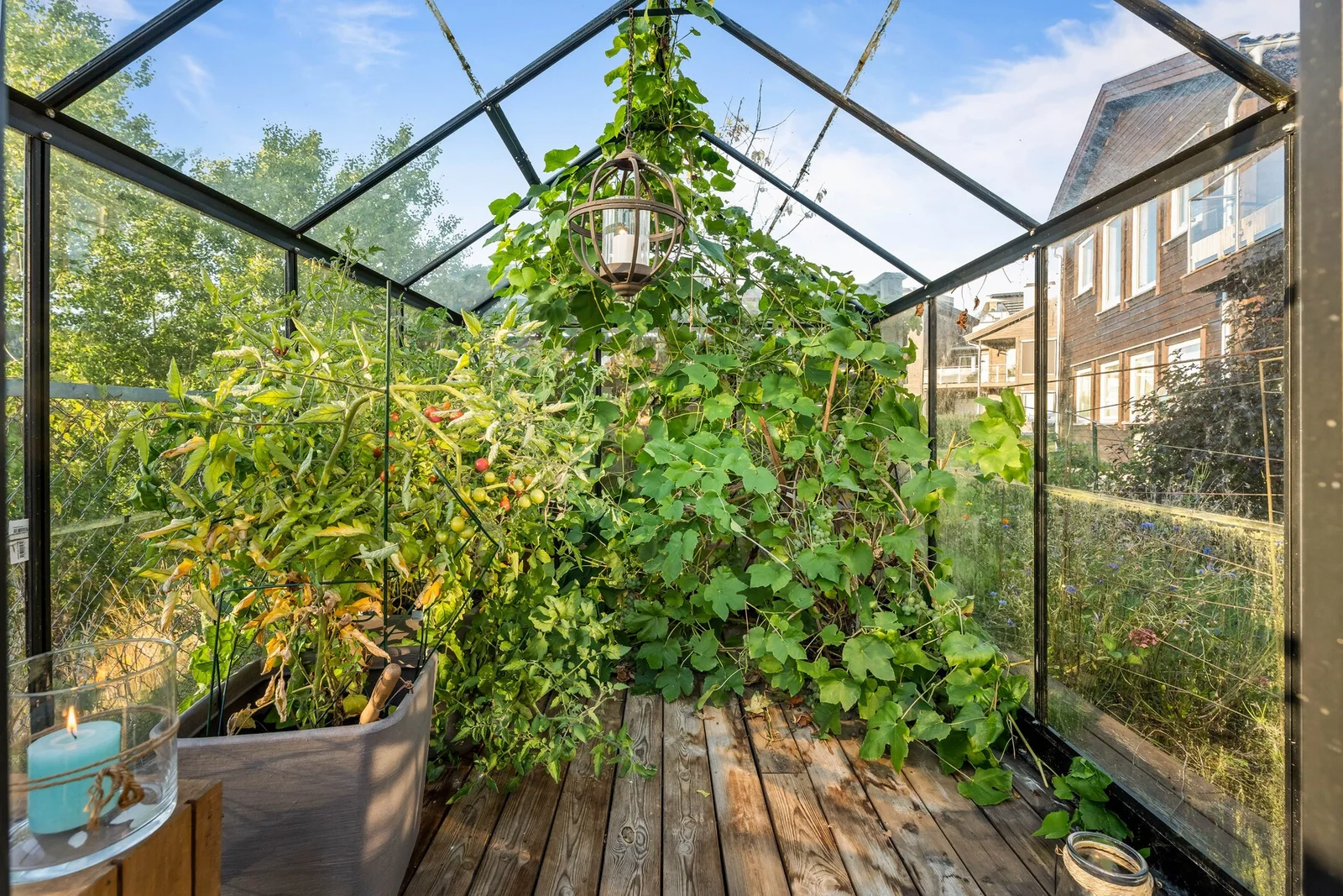 Photo 44