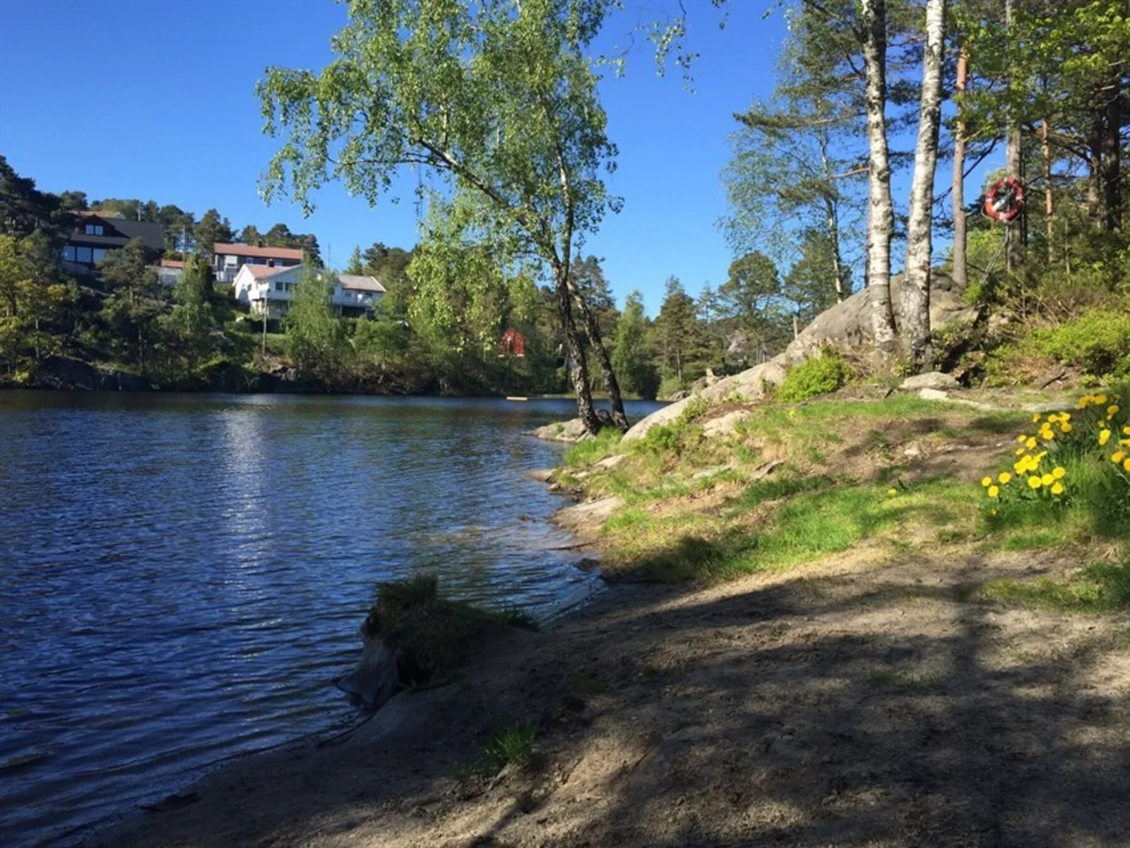 Photo 44
