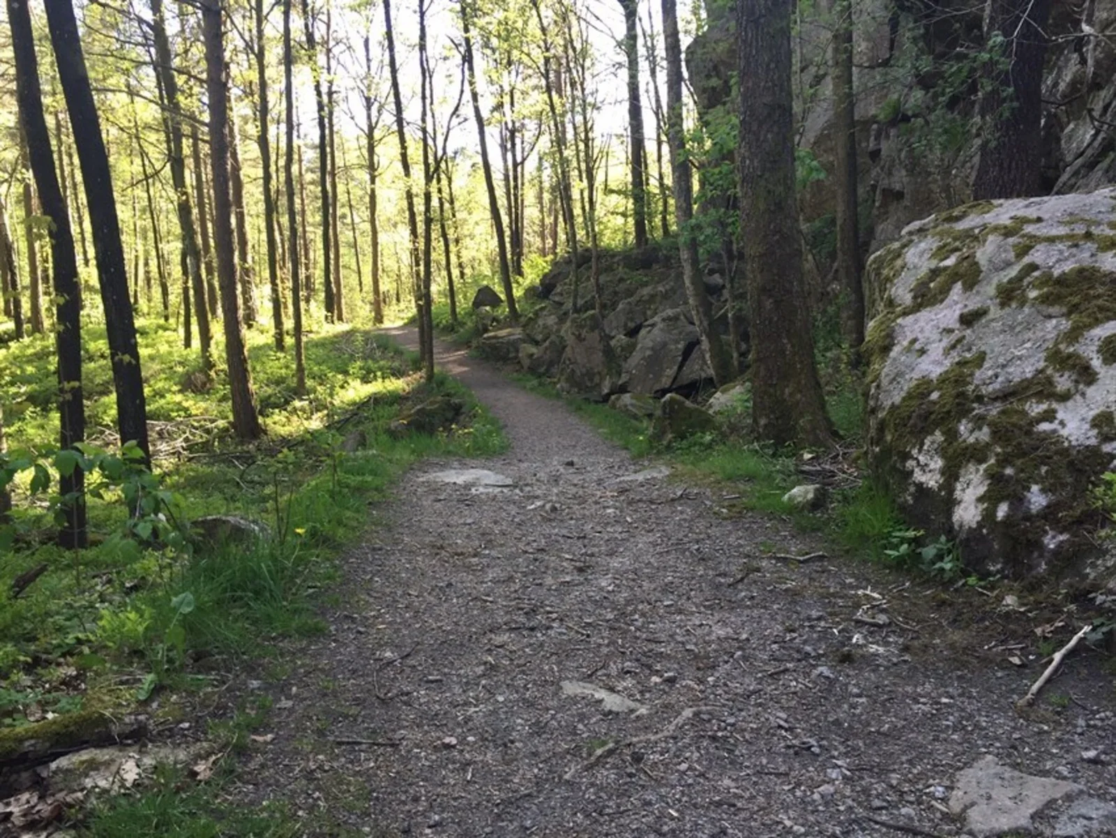 Photo 46