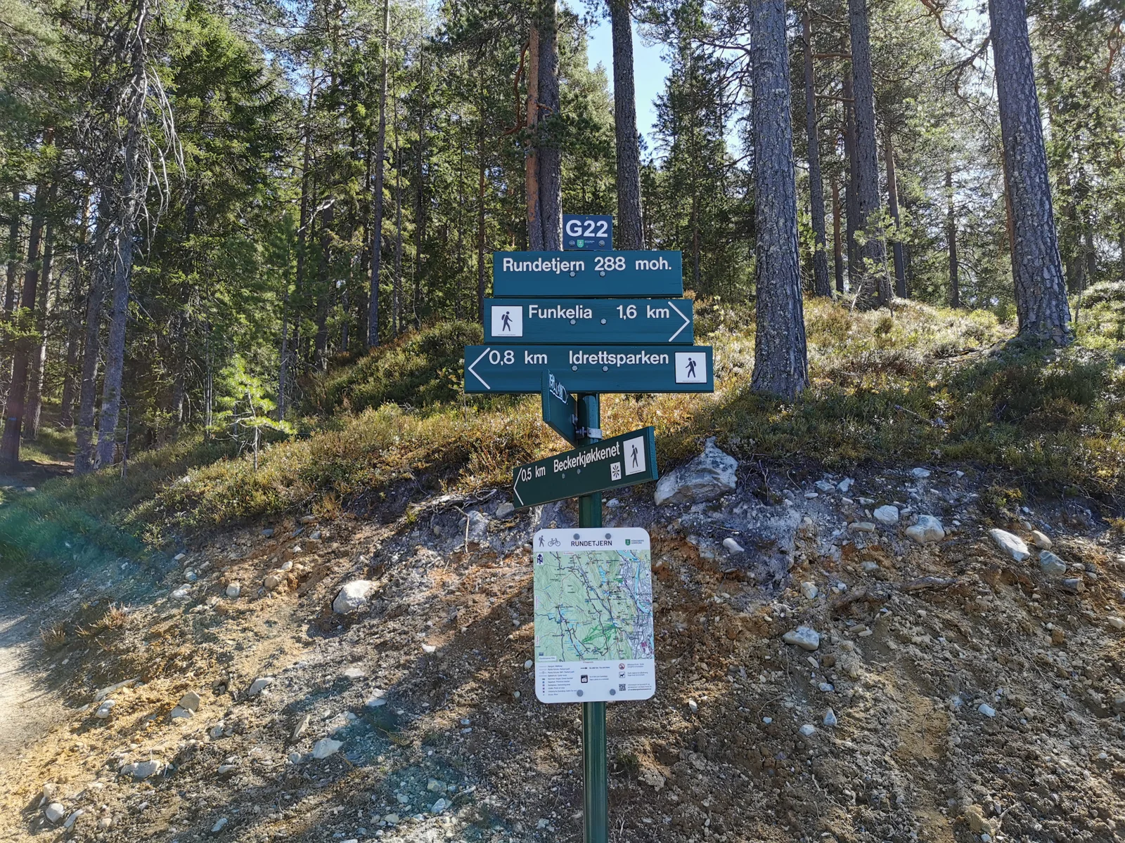 Photo 19