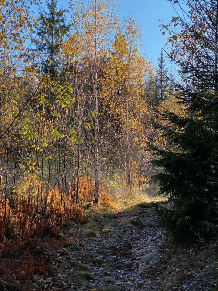 Photo 42