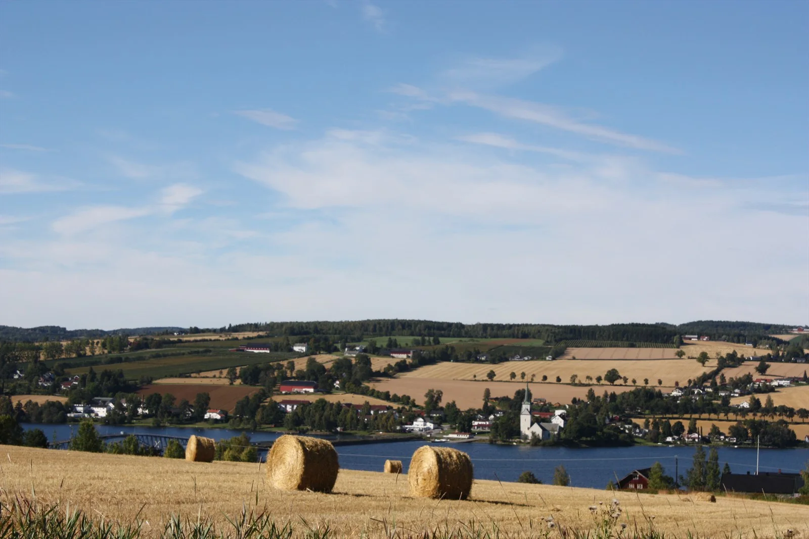 Photo 43