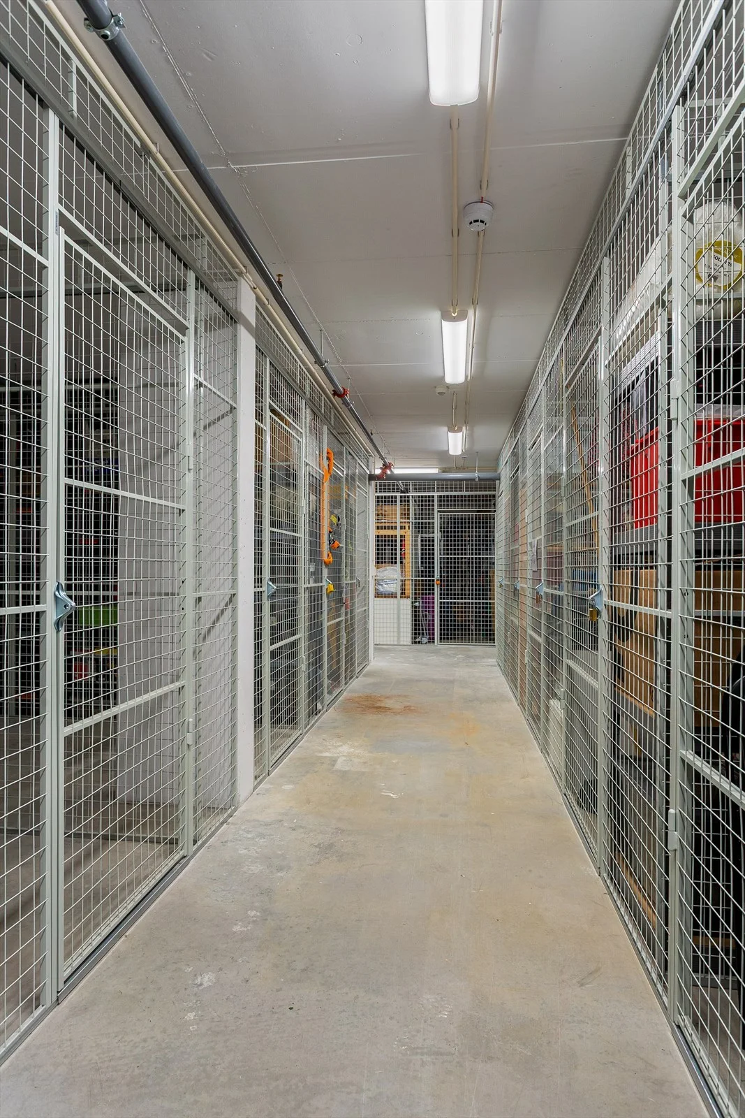 Photo 25