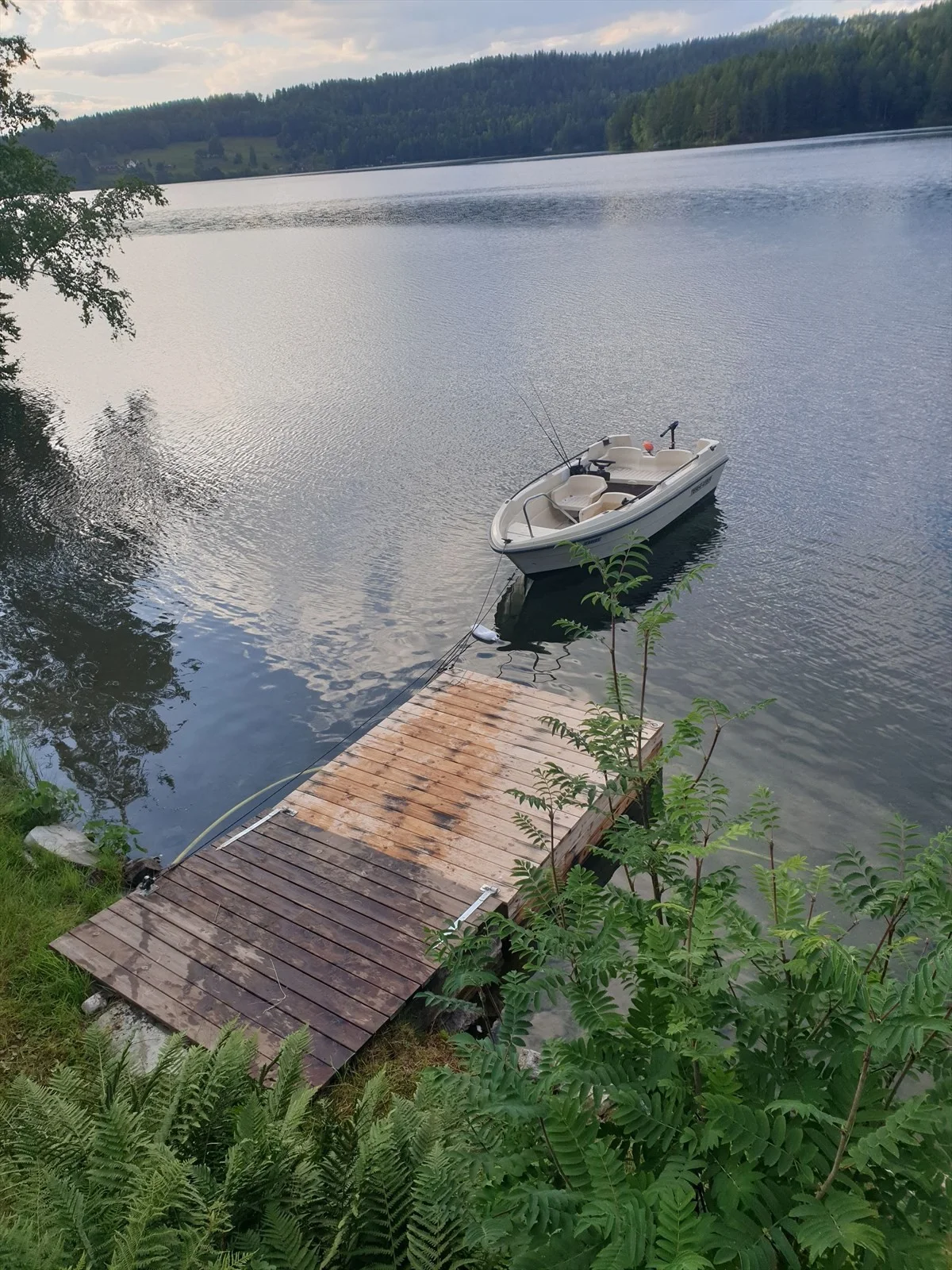 Photo 42