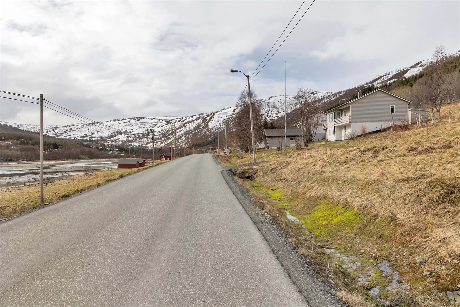 Photo 31
