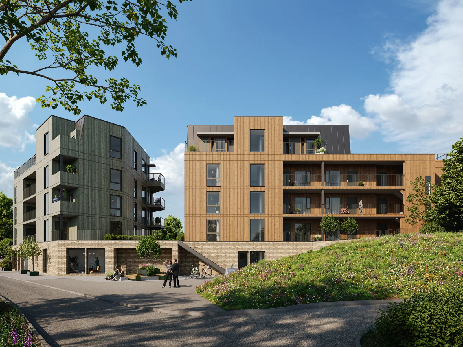 Photo 5
