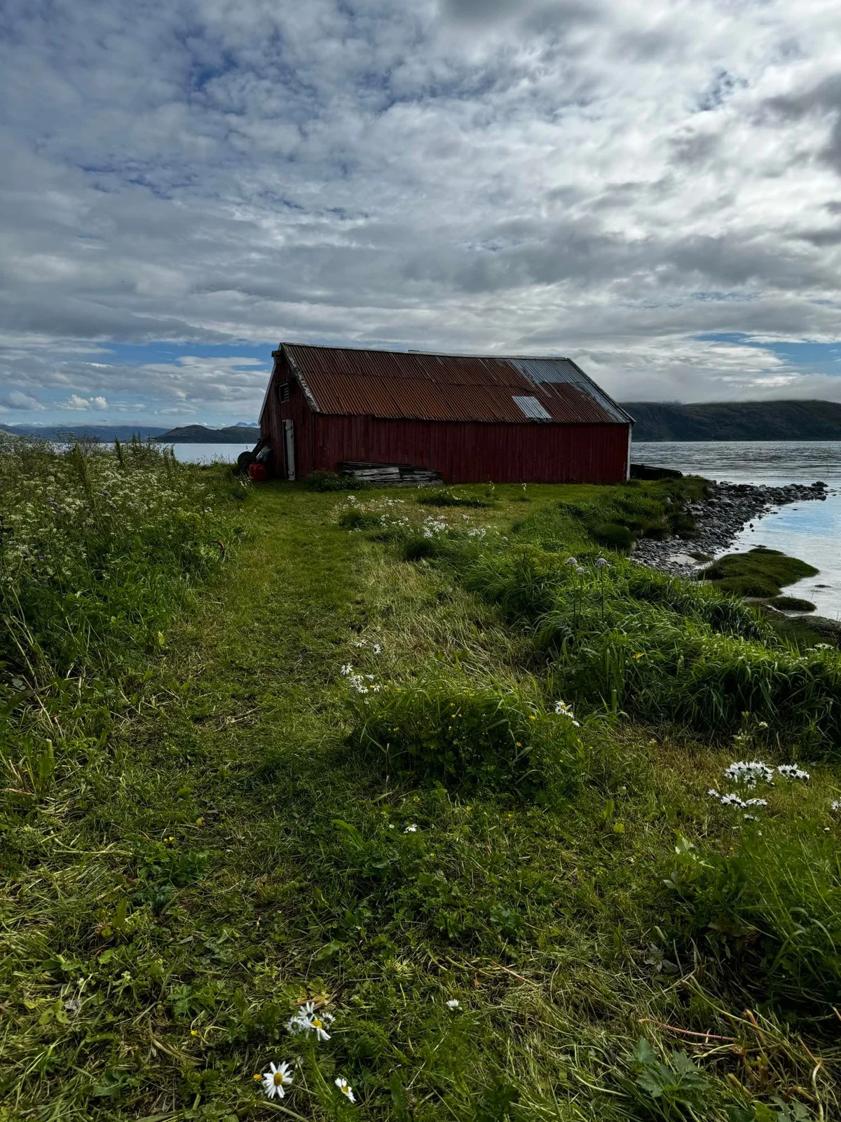 Photo 8