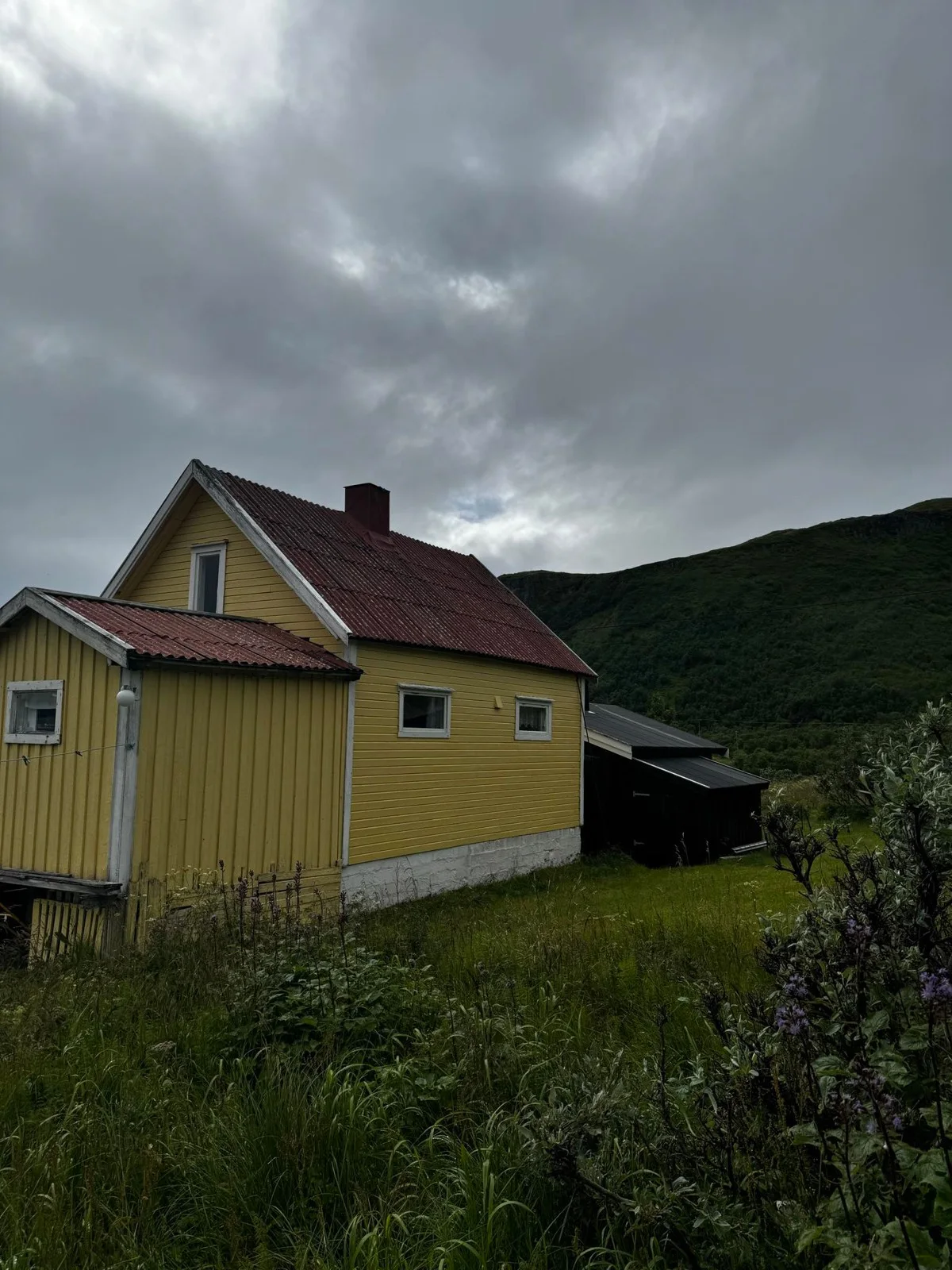 Photo 16