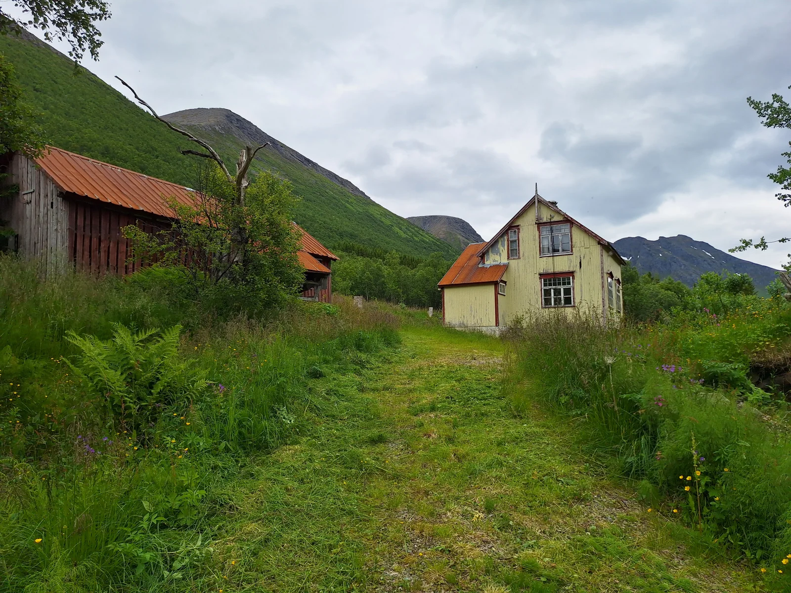 Listing photo