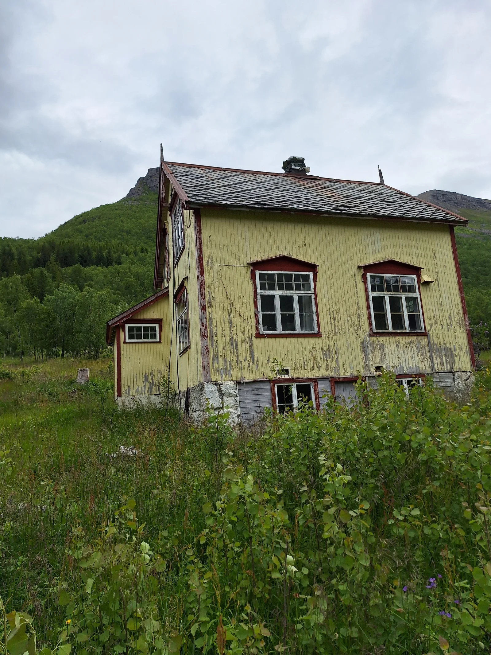 Photo 5