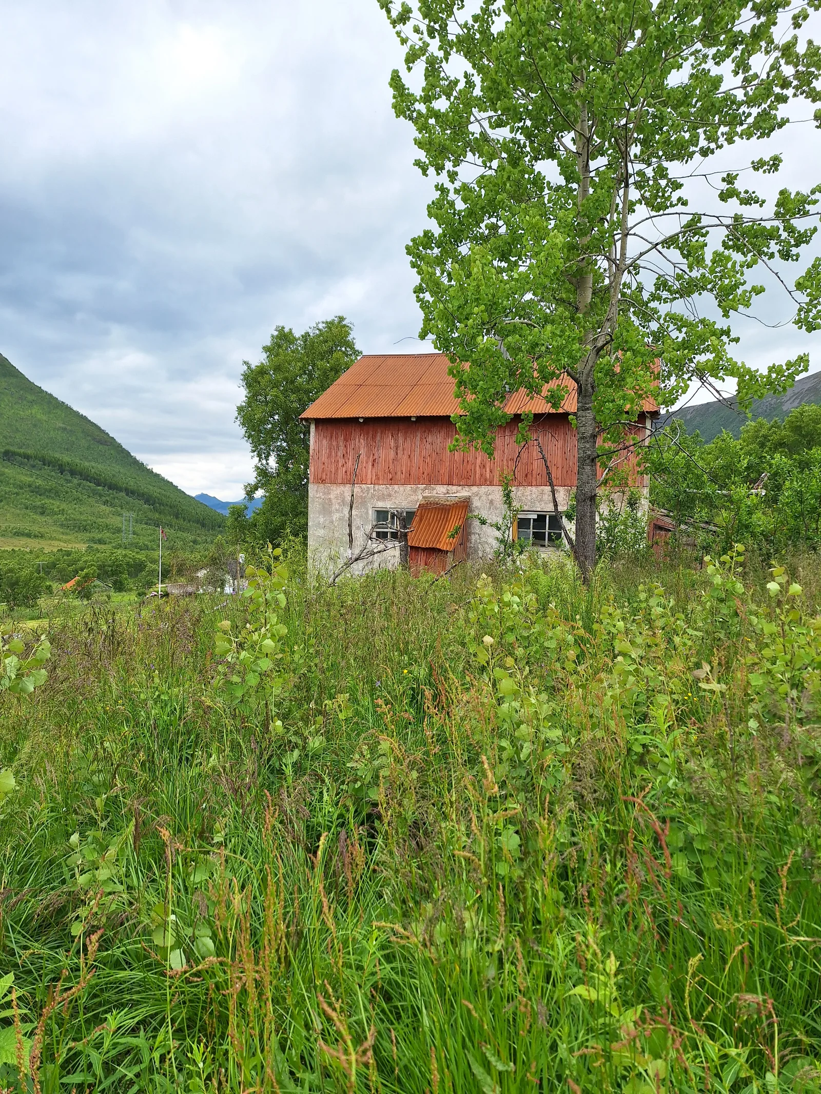 Photo 6