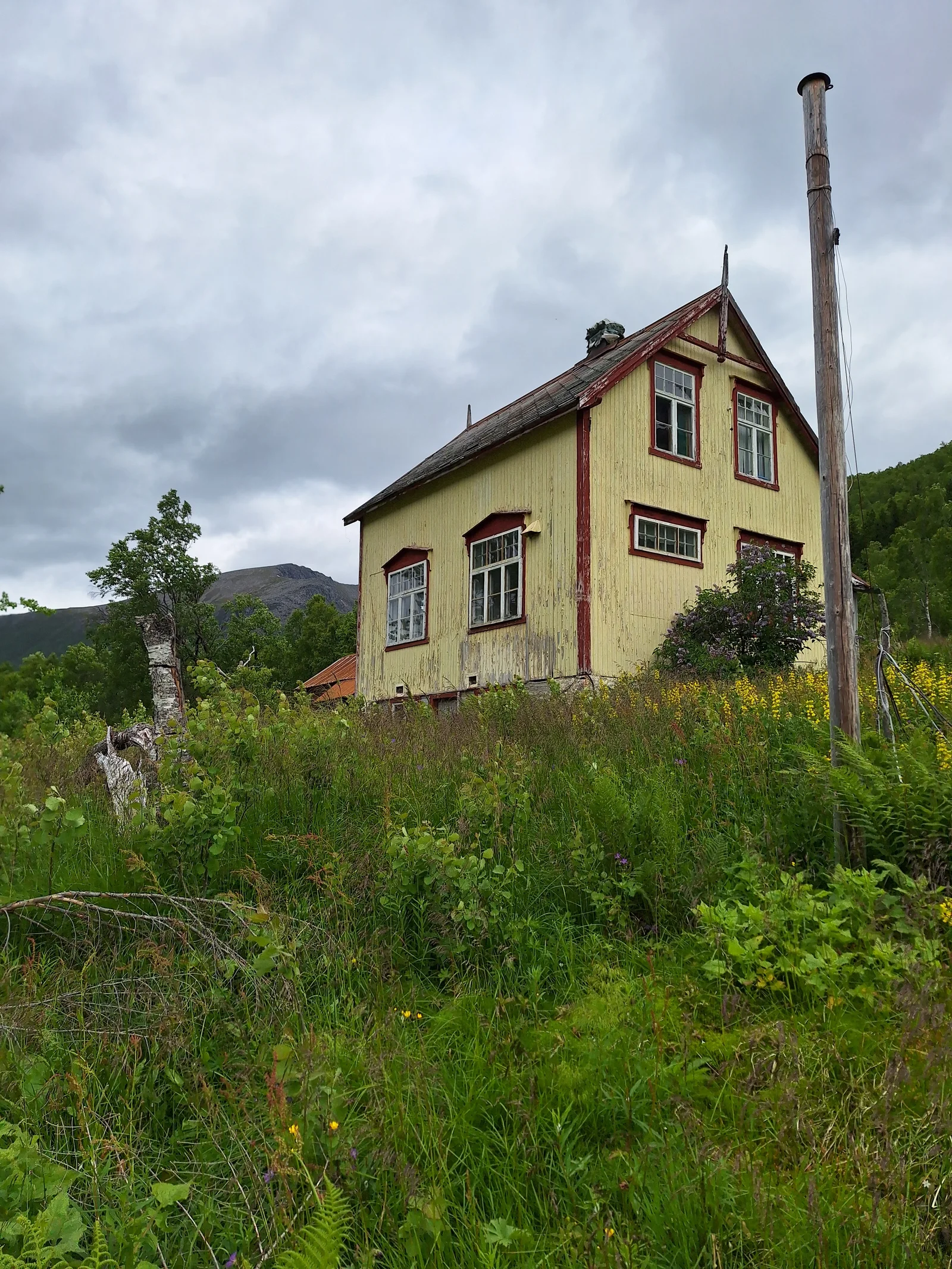 Photo 7