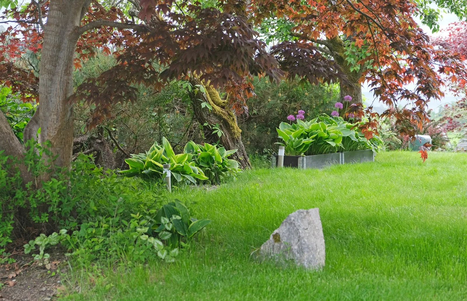 Photo 41