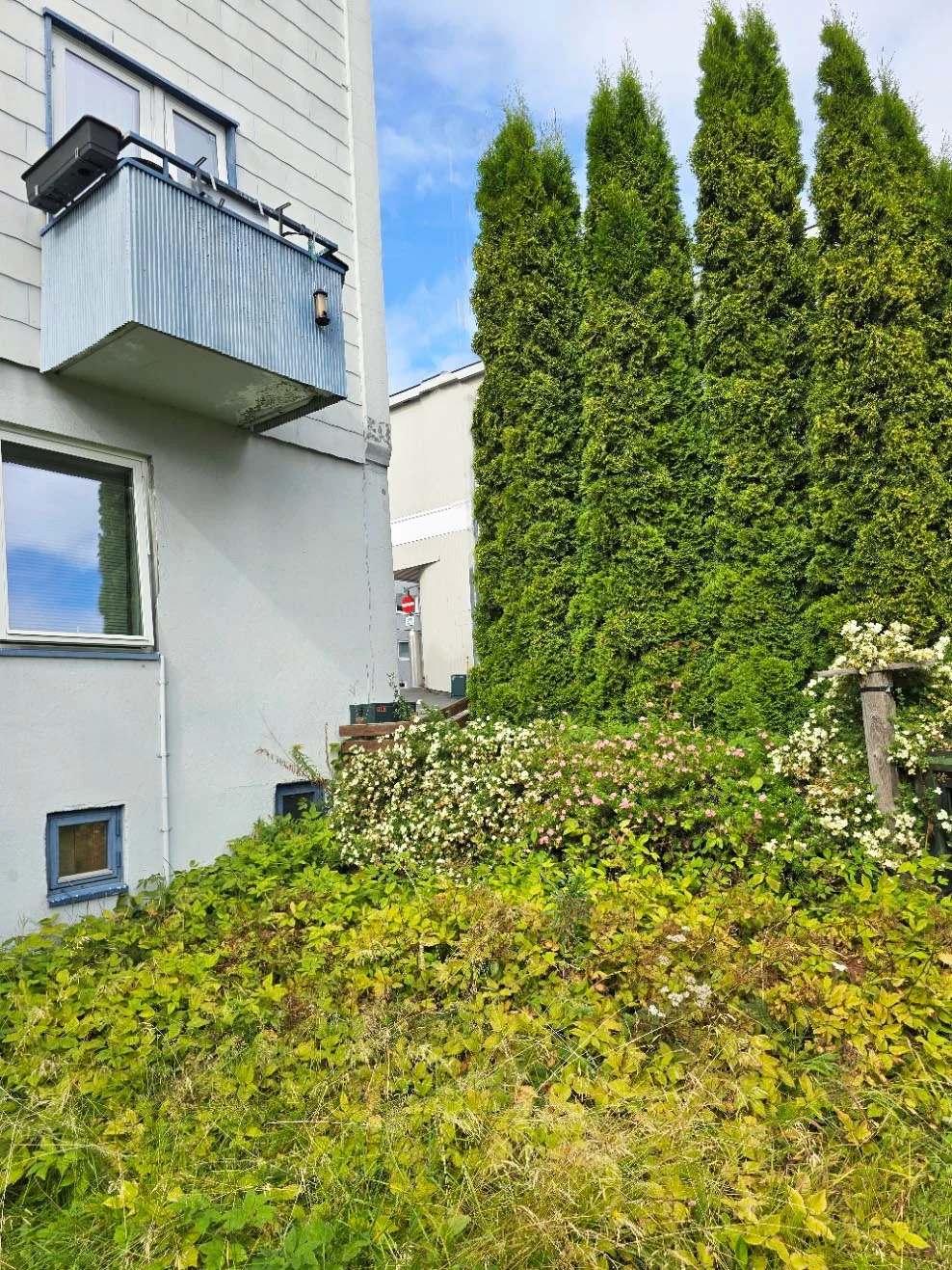 Photo 10