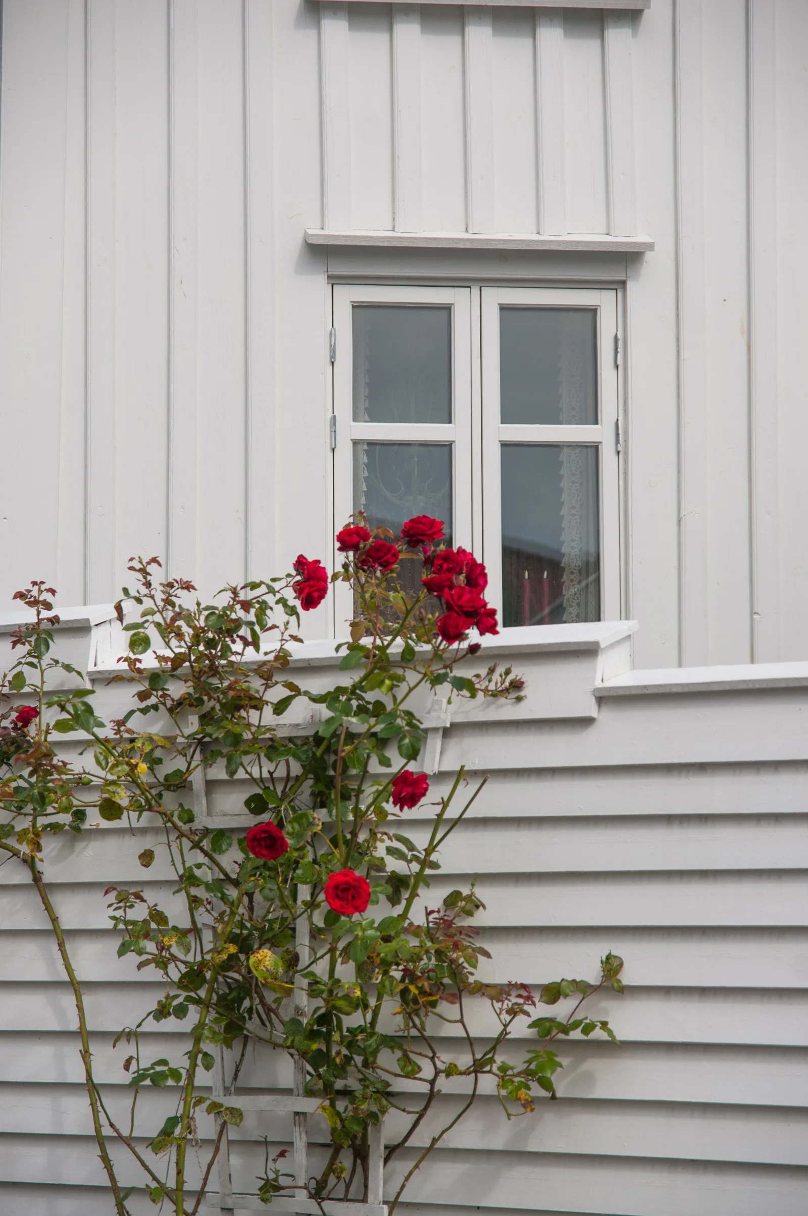 Photo 44
