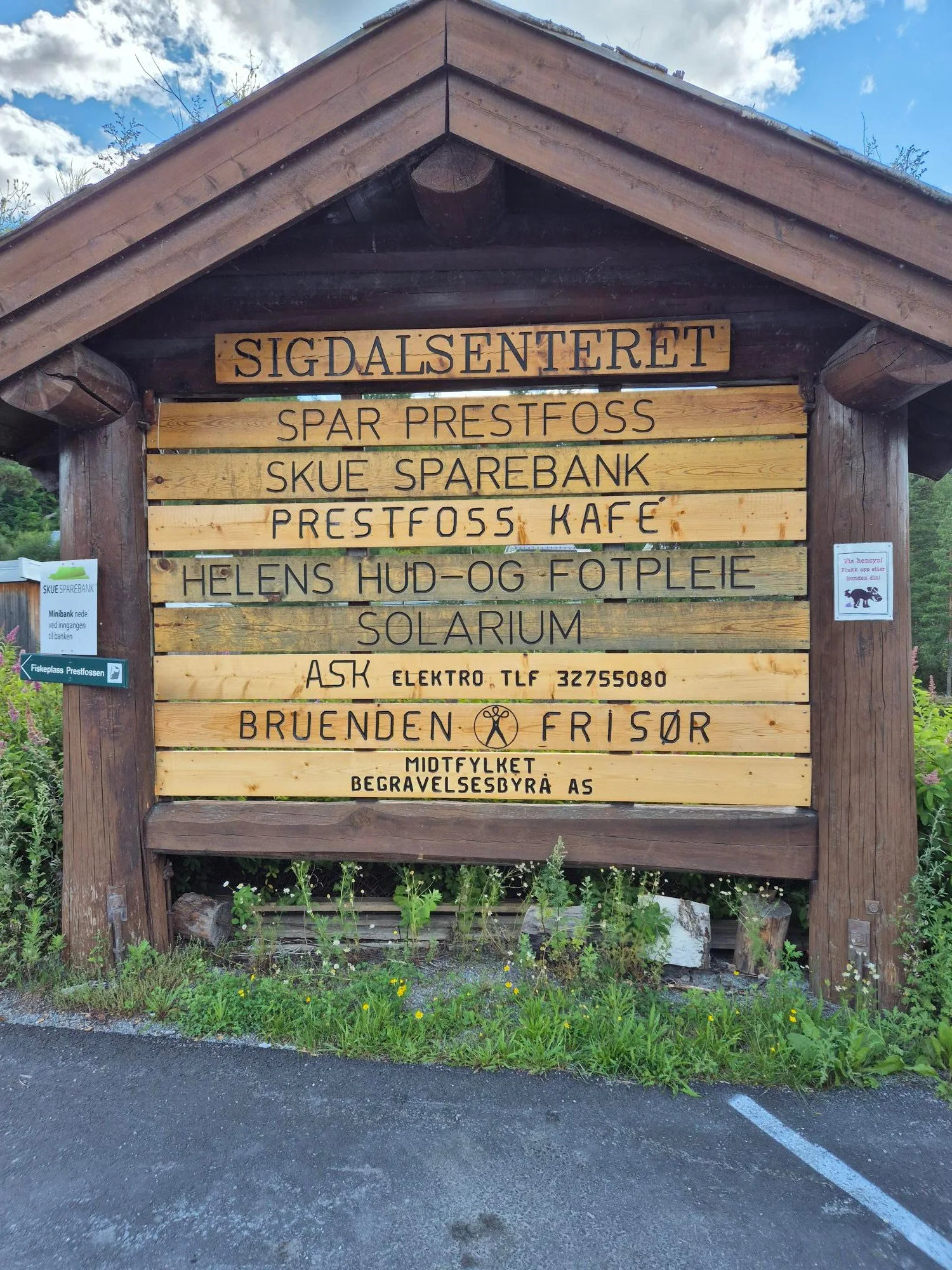 Photo 7