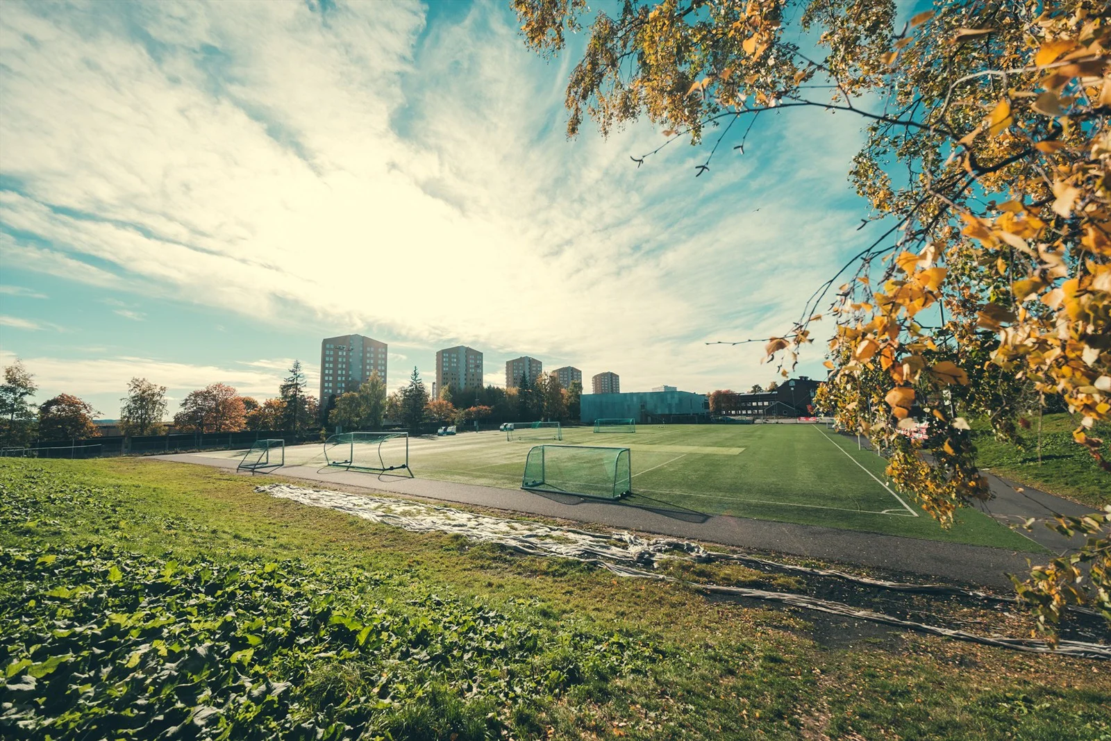 Photo 14