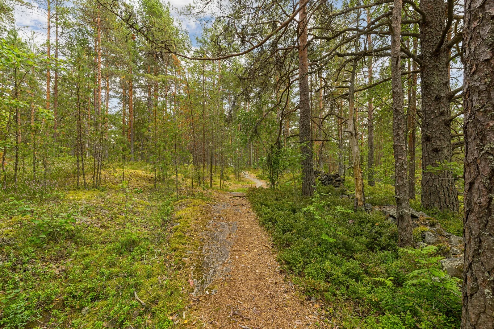 Photo 36