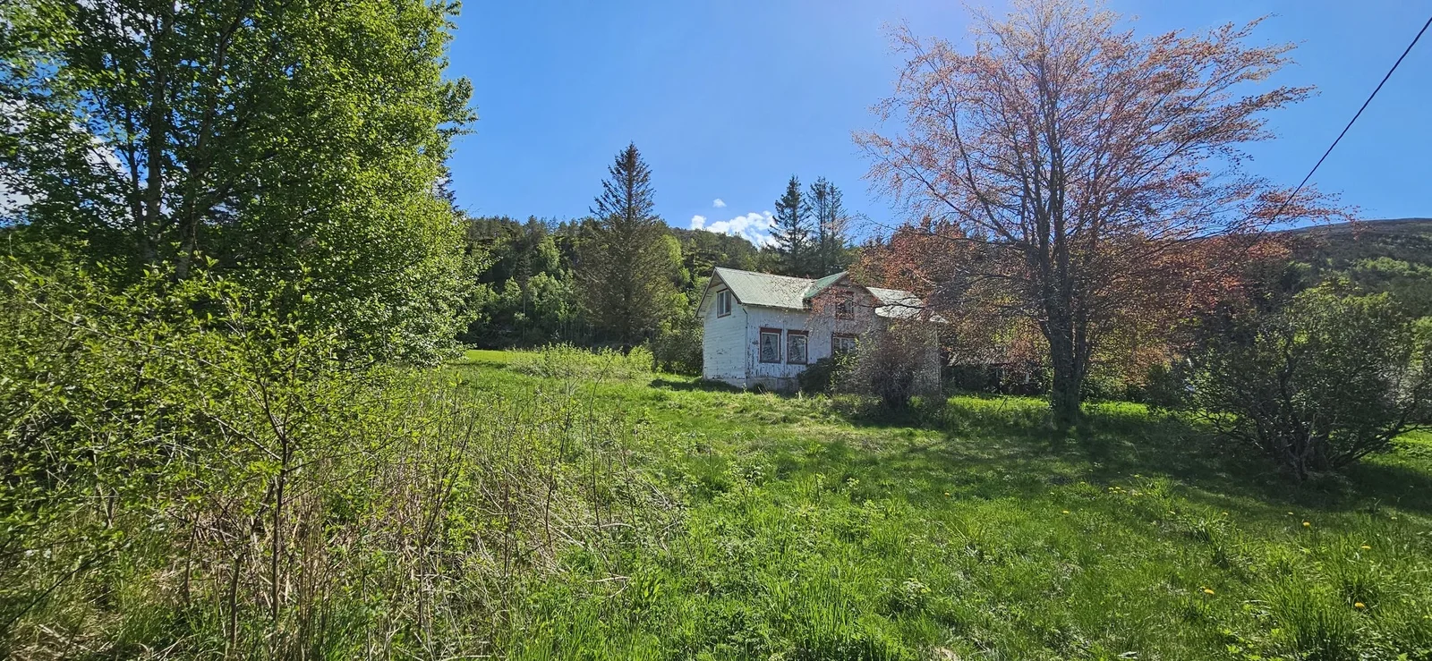 Listing photo