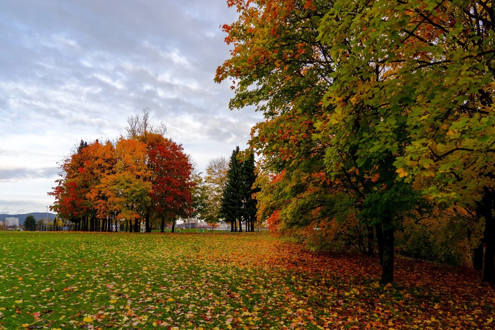 Photo 42