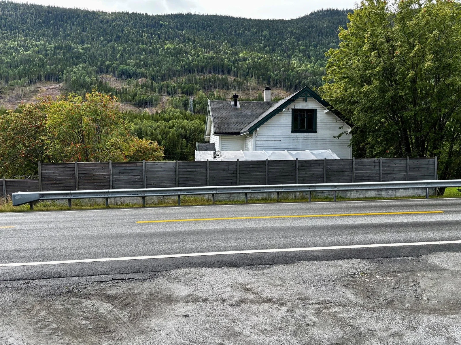 Photo 3
