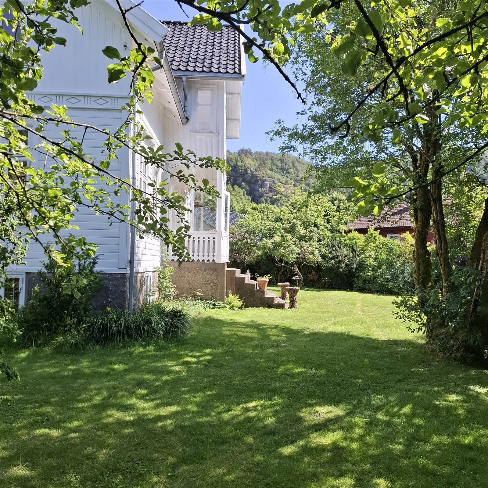 Photo 38