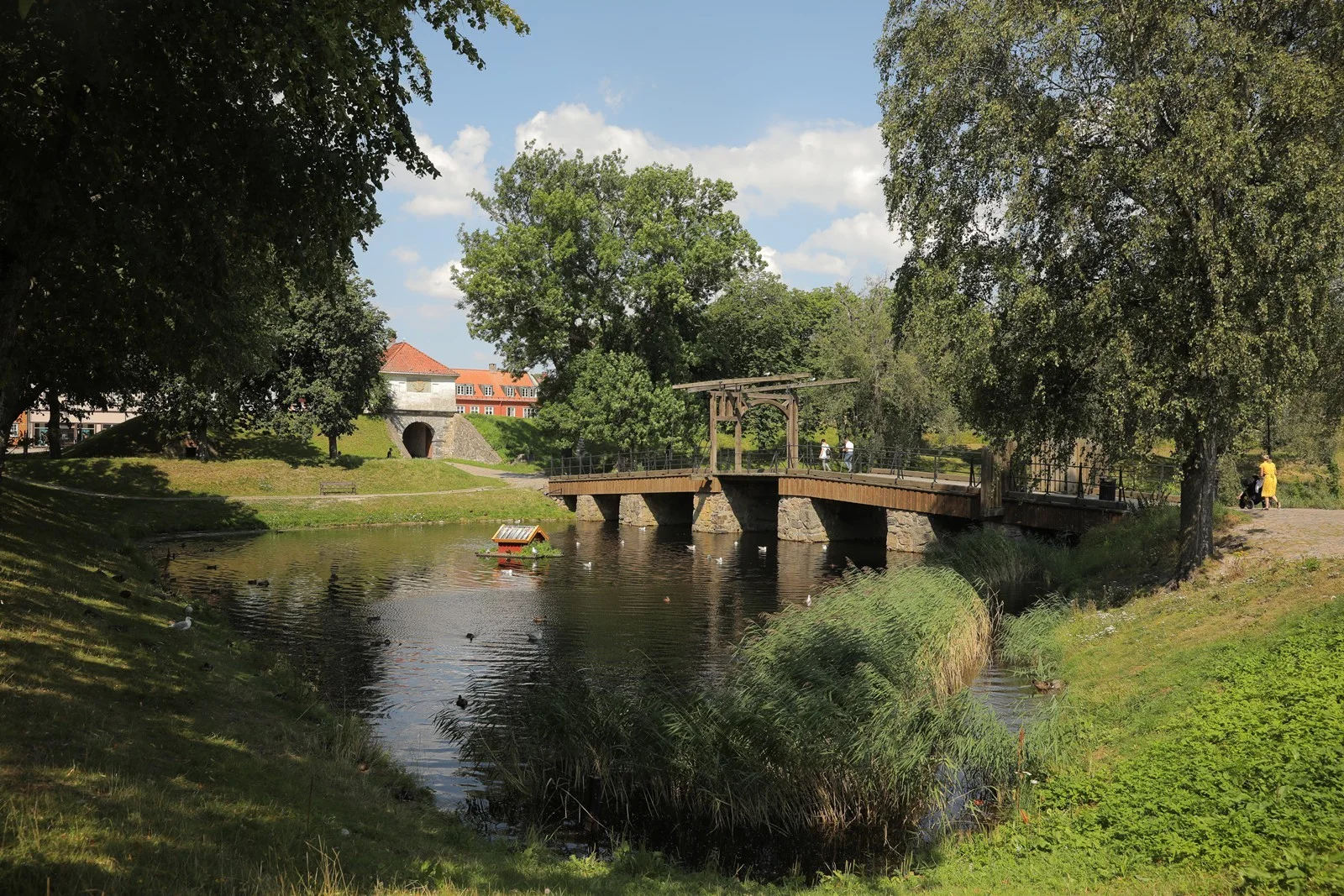 Photo 47
