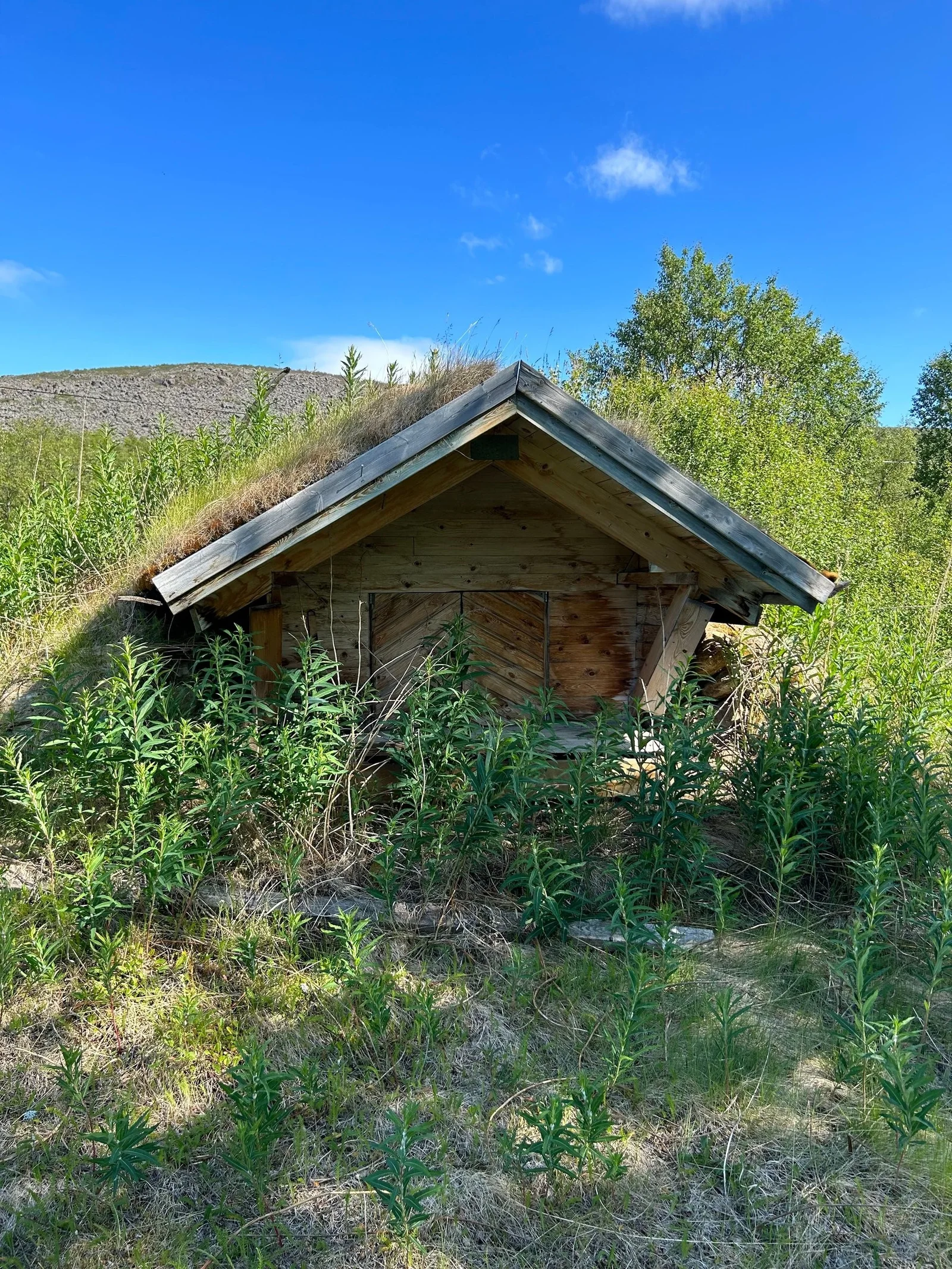 Photo 20