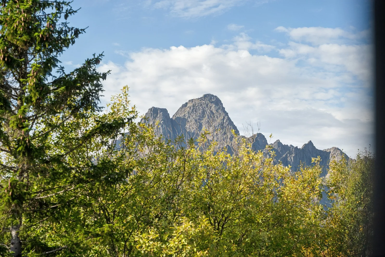 Photo 29