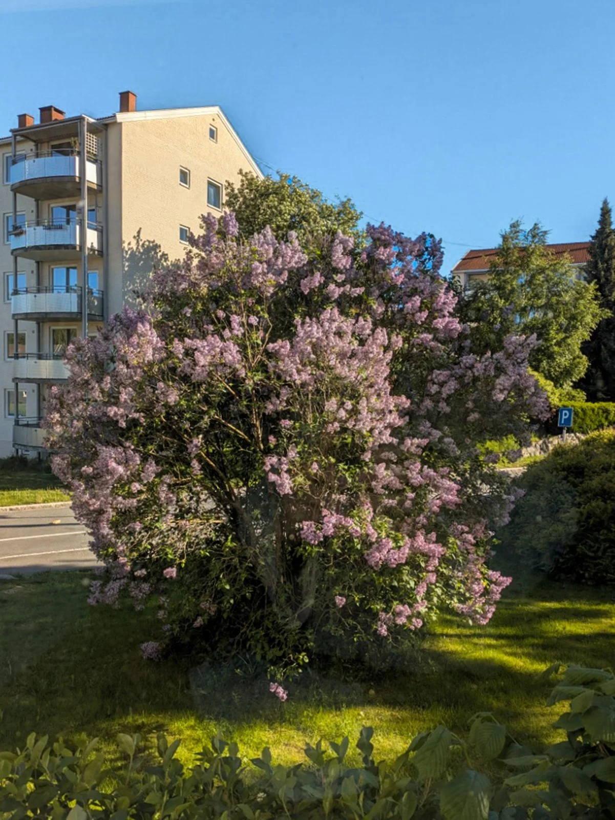 Photo 13