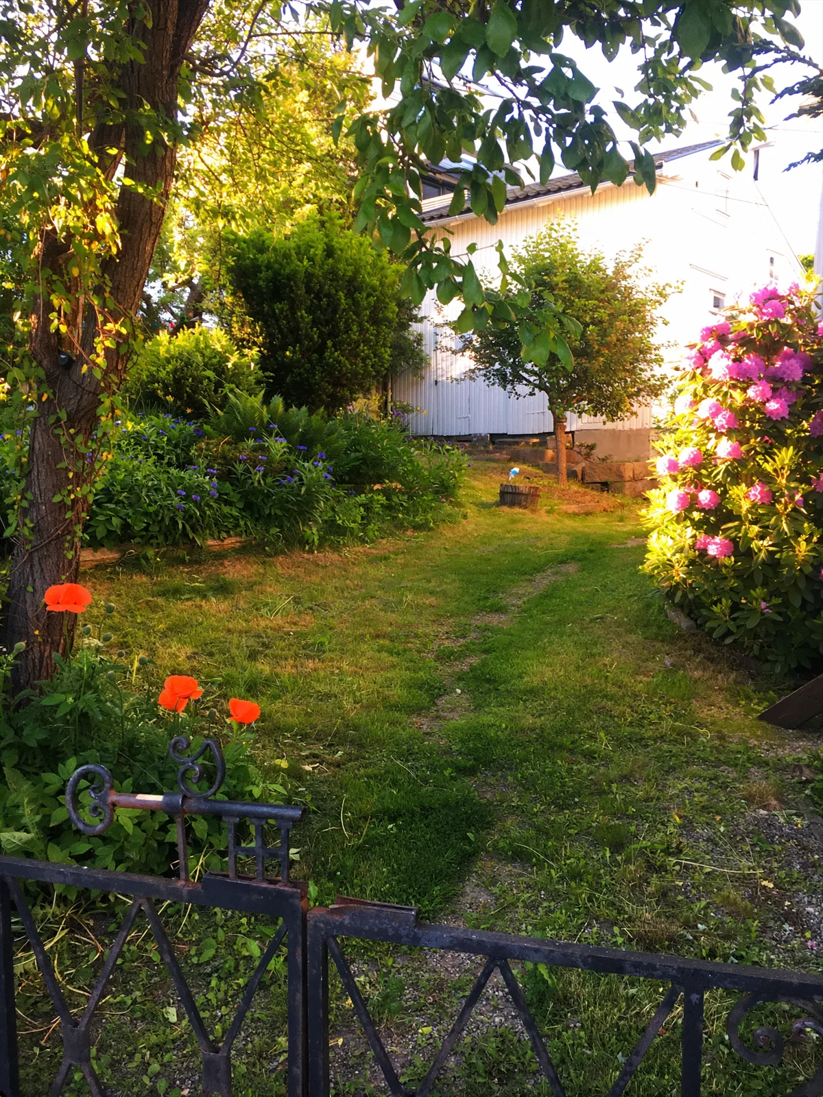 Photo 7