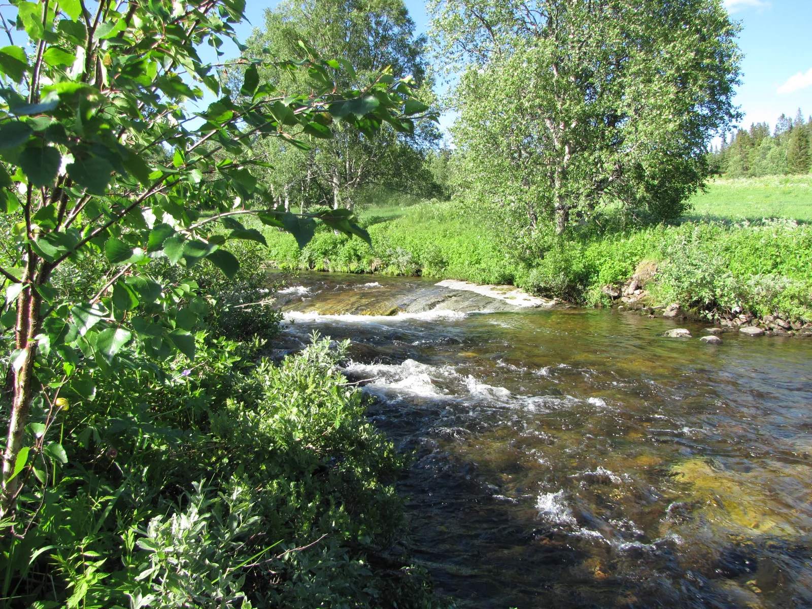 Photo 3