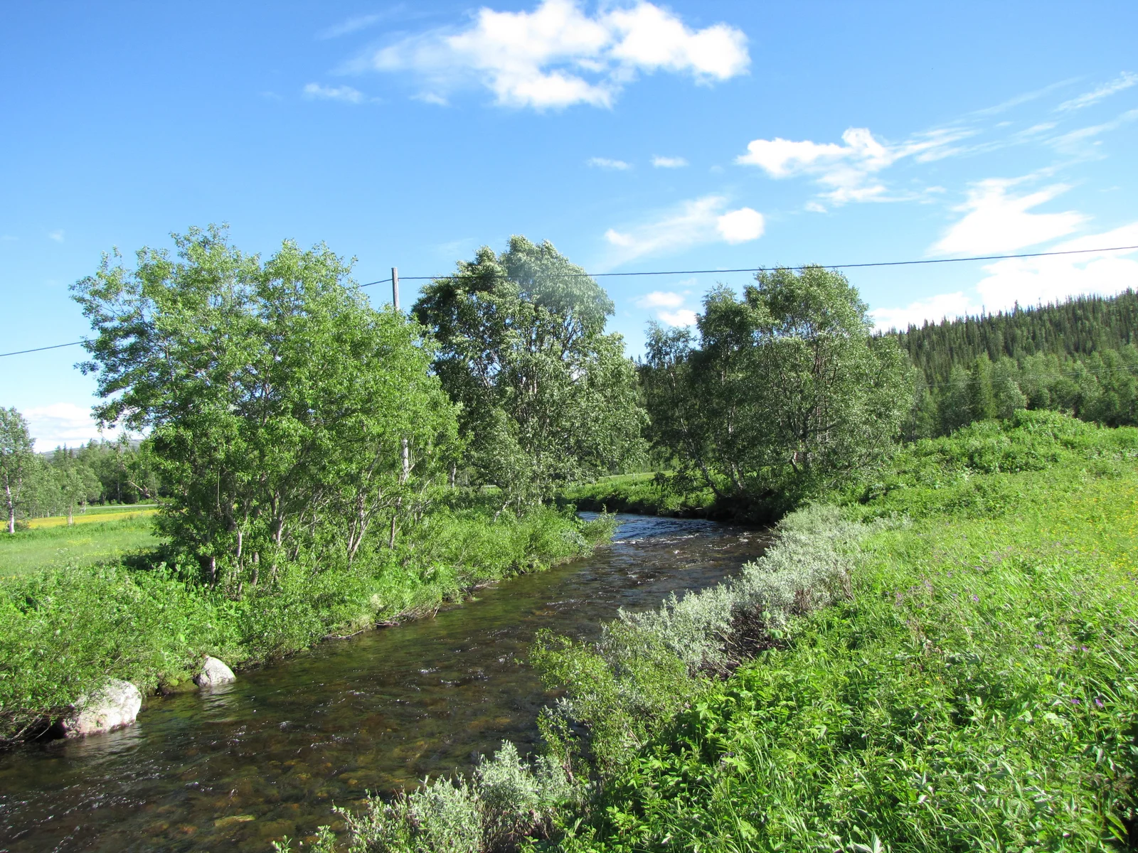 Photo 4