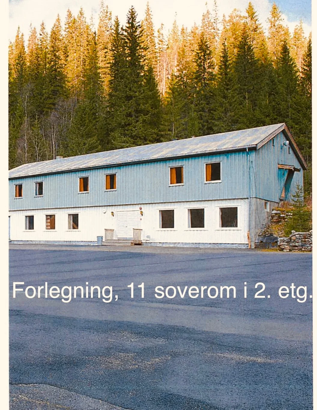 Photo 8